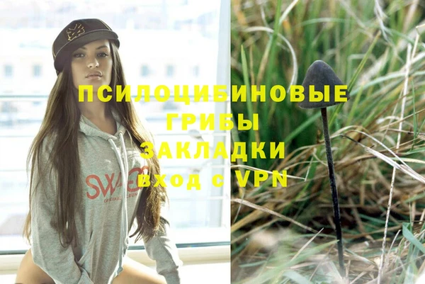 МДПВ Надым