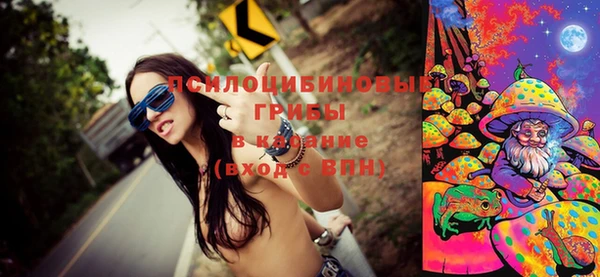 МДПВ Надым