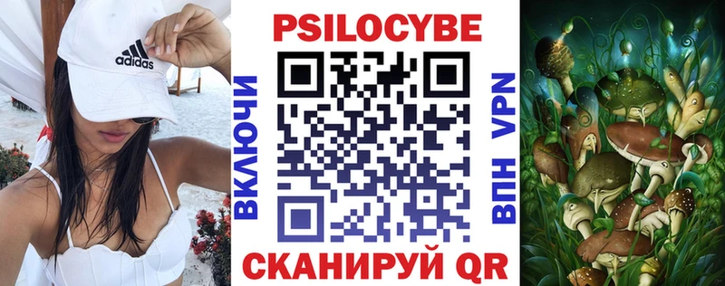 Галлюциногенные грибы прущие грибы  блэк спрут онион  Курган  купить наркоту 