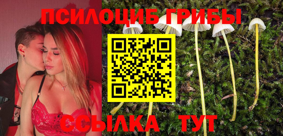 Псилоцибиновые грибы ЛСД Курган