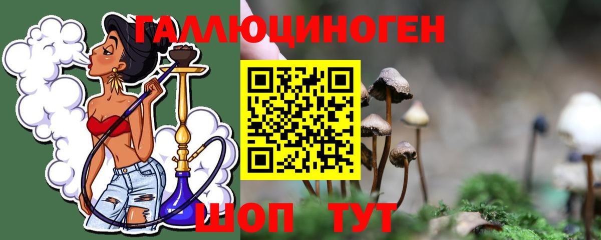 A PVP СОЛЬ   ГЕРОИН  Бошки Шишки  МЕФ кристаллы  Вход с VPN  Где купить наркотики?  Курган  МЕТАМФЕТАМИН  ГАШИШ  Кокаин 
