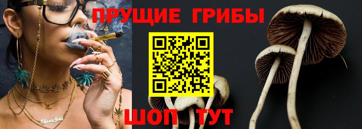 Псилоцибиновые грибы Psilocybine cubensis  Псилоцибиновые грибы Psilocybe  Вход с VPN  Курган 