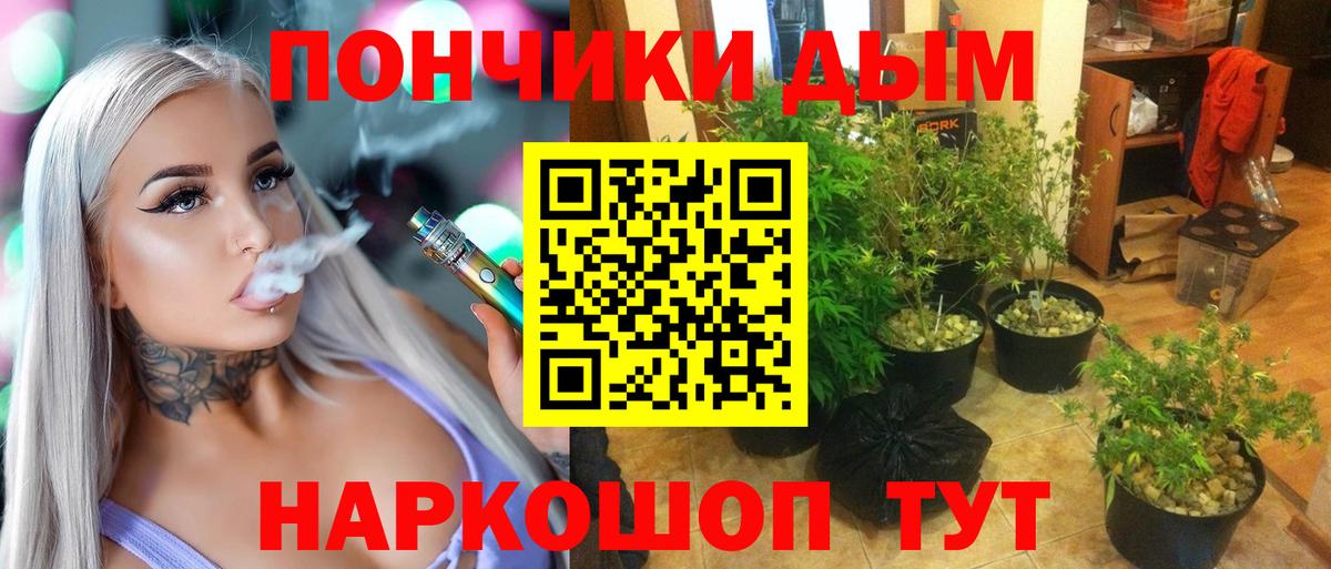 Бошки Шишки конопля  Вход с VPN  Курган  Бошки Шишки сатива  Конопля SATIVA & INDICA  Шишки марихуана LSD WEED 