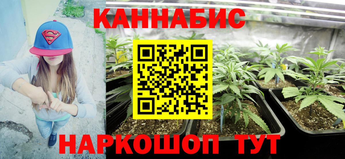 Бошки Шишки Курган
